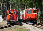 Lokparaden und Doppeltraktion 60 Jahre Diesellok 2095 (11)